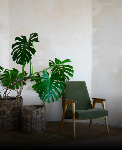 Sustainable Interior Designer